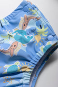 2 Pack Swim Nappies Navy (2)