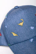 Peak Cap Blue (1)