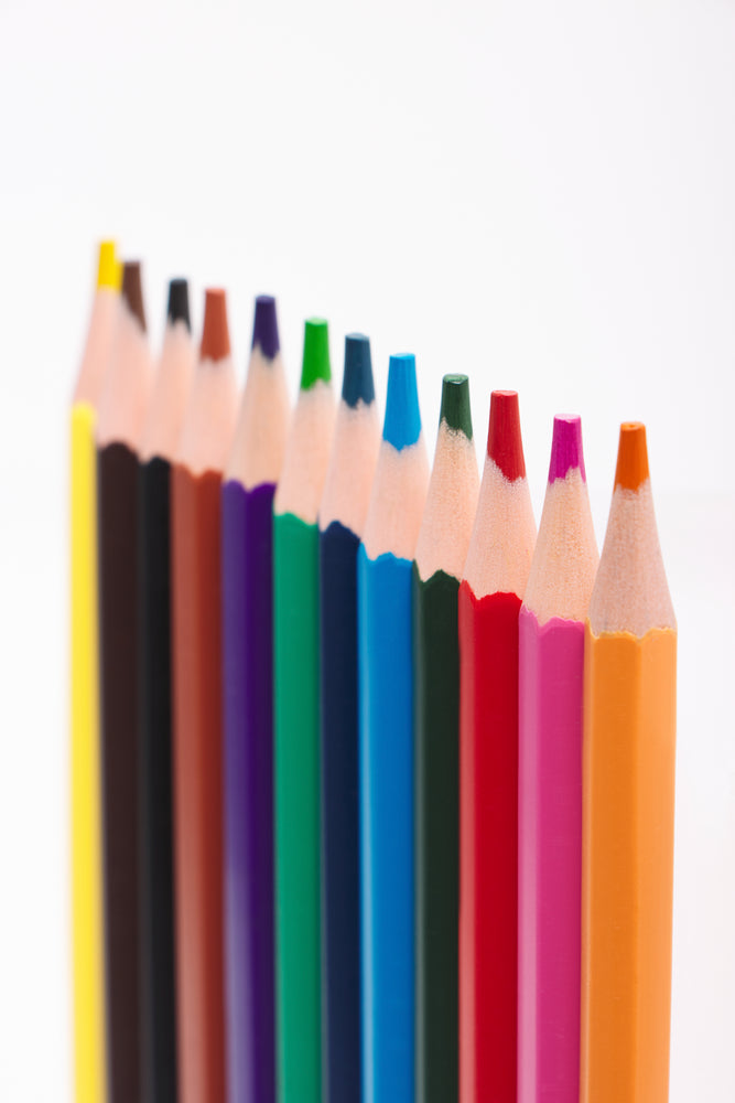 12 Pack Colour Pencils Multi