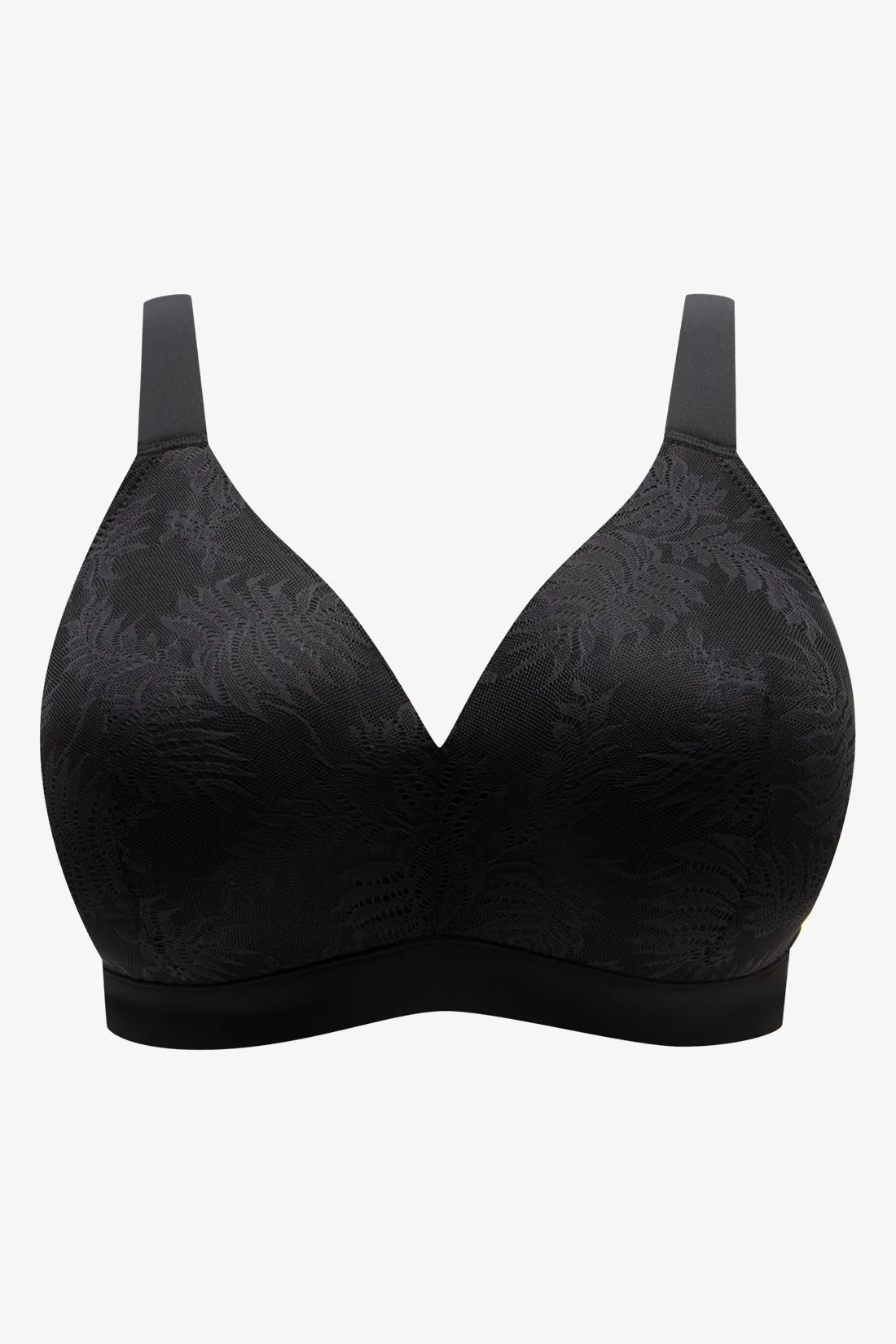 Plus size padded wire free bra black - WOMEN's Bras